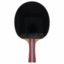 Double Fish 1a+ Table Tennis Racket* Racketsporter|Racket Och Bollar