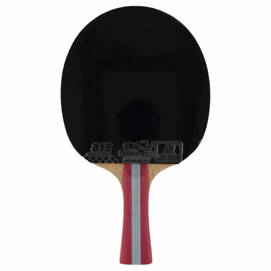 Double Fish 1a+ Table Tennis Racket* Racketsporter|Racket Och Bollar