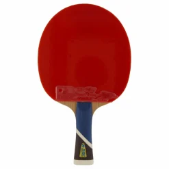 Double Fish 5a+ Table Tennis Racket* Racket Och Bollar|Racketsporter
