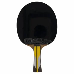 Double Fish 6a+ Table Tennis Racket* Racketsporter|Racket Och Bollar