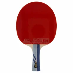 Double Fish 3a+ Table Tennis Racket* Racketsporter|Racket Och Bollar