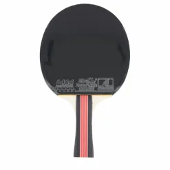 Double Fish 2d-c Table Tennis Racket* Racketsporter|Racket Och Bollar