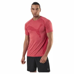 Puma RTG Evoknit Tee Red* T-Shirts|Träning