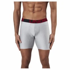 Under Armour Tech 6in 2 Pack Grey* Underkläder|Löpning