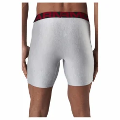 Under Armour Tech 6in 2 Pack Grey* Underkläder|Löpning