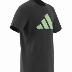 adidas Train Essentials AEROREADY Logo Regular-Fit T-Shirt Dark Grey*Barn T-Shirts|Träning